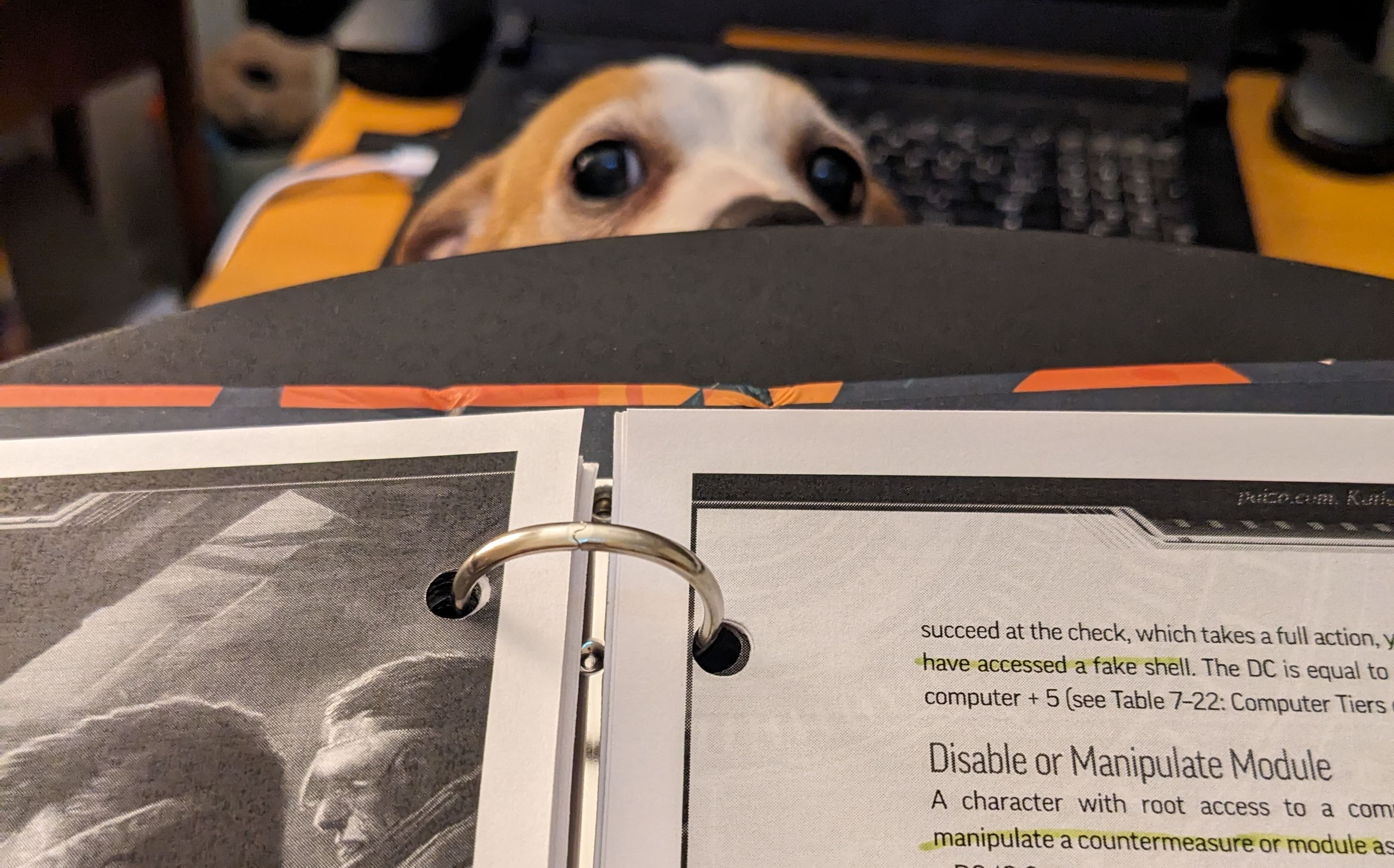 A dog peering over an open copy of the Core Rulebook.
